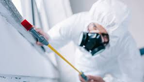 Best Residential Pest Control  in Chalfont, PA